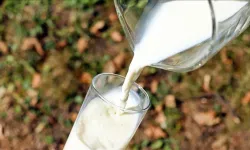 İçme sütlerinin üretimi ve piyasaya arzına yönelik kuralları yeniden belirledi