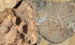Tavşanlı Höyük kazılarında yaklaşık 4 bin yıllık pati izleri bulundu