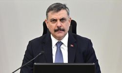İçişleri Bakanı Çiftçi: Sahipsiz sokak hayvanlarının tamamını topladık