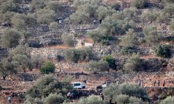 İşgalci İsrailliler, Batı Şeria'da Filistinlilerin hasat ettiği zeytinleri çaldı