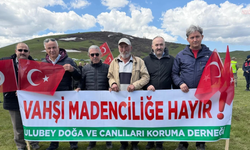 Mahkeme kararlarına rağmen Ordu yaylalarında maden sondajının sürdüğü iddia edildi