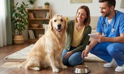 Köpeklerde Gıda Alerjisi: Belirtiler ve Eliminasyon Diyeti