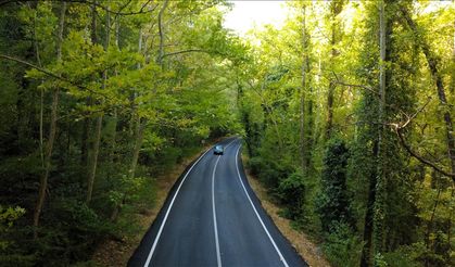 Safranbolu'nun "ağaç tüneli", misafirlerine yeşilin içinde yolculuk keyfi yaşatıyor