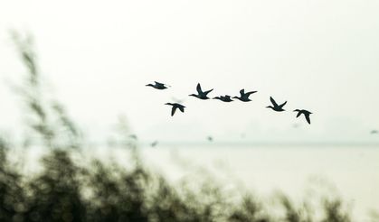 Manyas Kuş Cenneti'nde gün batımı