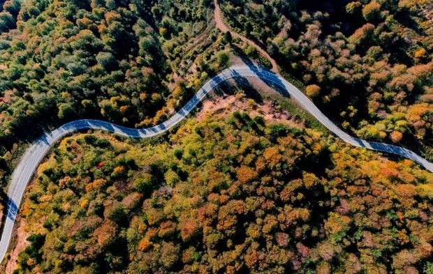 Çam Dağı, hazan mevsiminin renklerine büründü