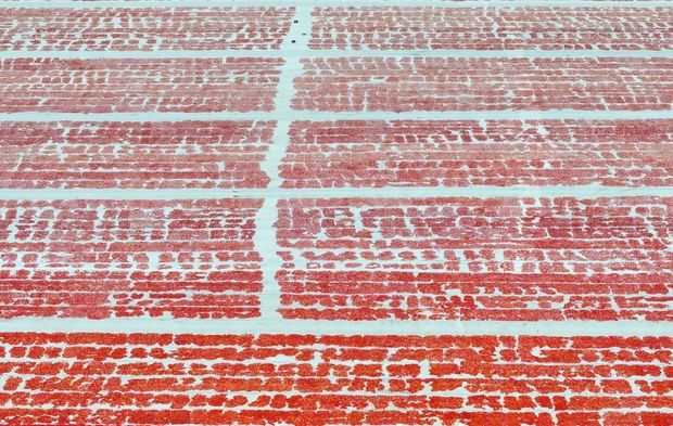 Güneşe serilen domatesler Torbalı Ovası'nı kırmızıya bürüdü