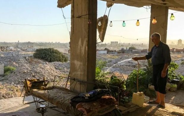 Suriye'deki savaşta eşini ve oğlunu kaybeden Zeydan, evde yetiştirdiği bitkilerle acısını hafifletiyor
