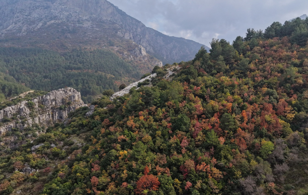 Manisa'da doğa sonbahar renklerine büründü