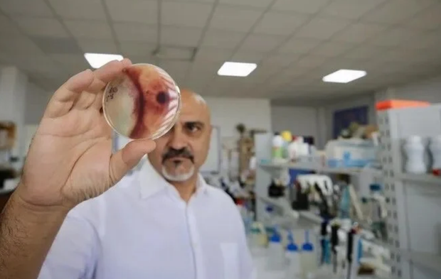 Mikroskobik canlıda böcek kovucudan 100 kat etkili molekül bulundu