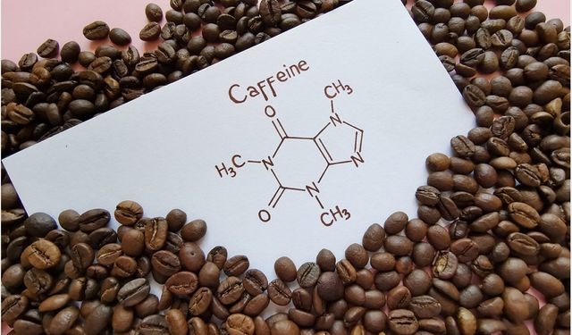Kafein nedir? Kafeinin yararları ve zararları nelerdir?