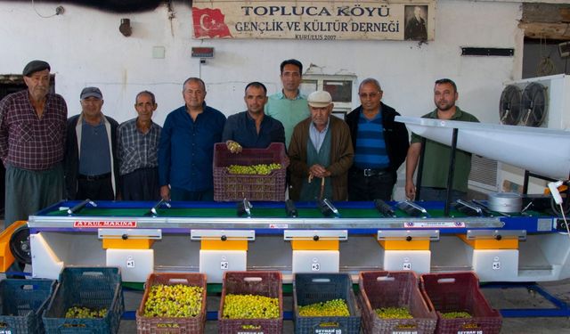 Zeytin Üreticilerinin Yüzü Mersin Büyükşehir Belediyesi İle Gülüyor