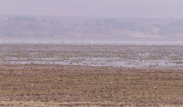 El Nino etkisi İstanbul’u zorluyor… ‘Bitmeyen yaz’ tehlikesi