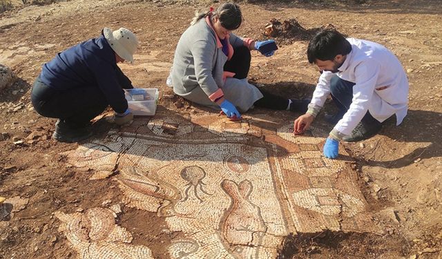 Mardin'de deniz canlıları figürlü mozaikler bulundu