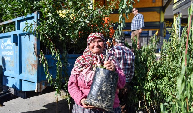 Mersin Büyükşehir'den Aydıncıklı ve Tarsuslu Üreticilere Badem Fidanı Desteği 