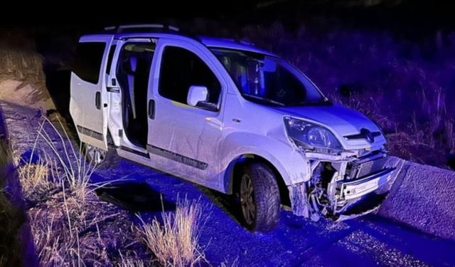 Yaralı sürücüye yardım etmek isteyen 2 kişi, araç çarpmasıyla öldü
