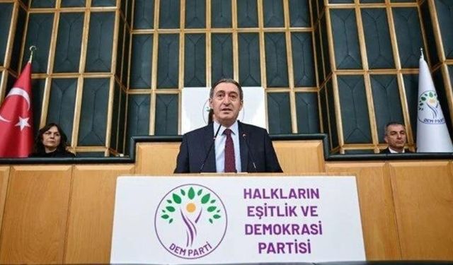 DEM Parti'den Başak Demirtaş açıklaması