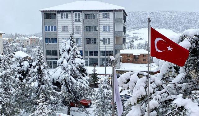 Meteoroloji'den "kuvvetli kar yağışı" uyarısı