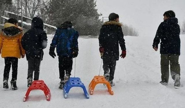 Yarın okullar tatil mi? İki ilden kar tatili duyurusu geldi