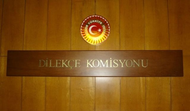 TBMM Dilekçe Komisyonuna ilginç başvurular: Evlilikte 25 yılı dolduran kadınlar emekli olsun...