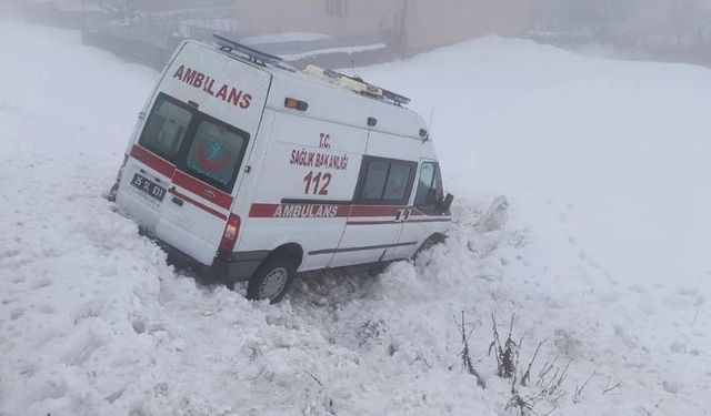 Bingöl'de ambulans şarampole devrildi: Yaralılar var