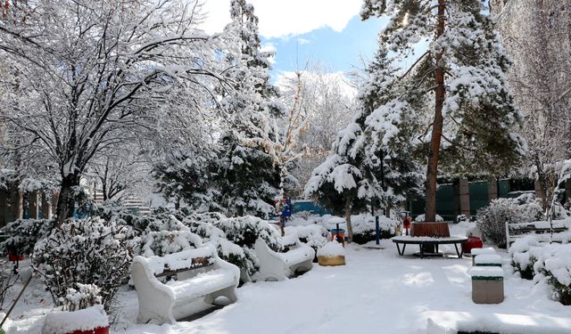 Van, Tunceli ve Bingöl'de toplam 918 yerleşim yeri ulaşıma kapandı