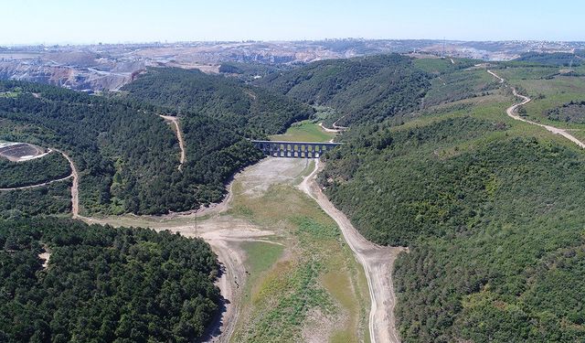 Kuzey Ormanları'nda talan büyüyor: Maden sahası iki katına çıkacak