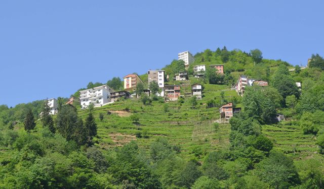 Prof. Dr. Cenap Sancar'dan "Karadeniz" uyarısı: Vahşi yapılaşma ile doğanın dengesini bozuyoruz