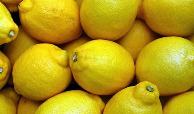 1 kilo limonun fiyatı 40 liraya çıktı