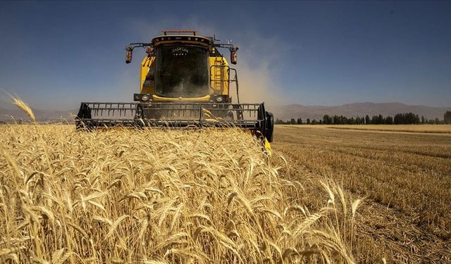 TÜİK: Tarımsal girdi fiyatları yıllık yüzde 45,11 arttı