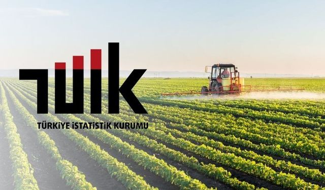 TÜİK: Tarım ürünleri üretici fiyat endeksi (Tarım-ÜFE) yıllık %42,53 arttı, aylık %4,26 arttı