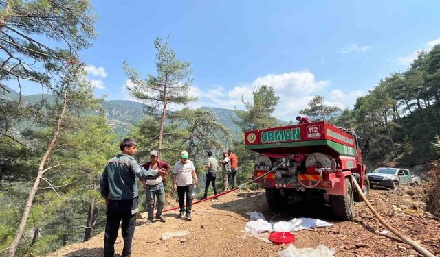 Adana’da korkutan orman yangını