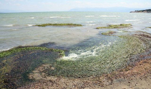 Eğirdir Gölü'nün derinliği, 74 yılda 12,8 metre geriledi