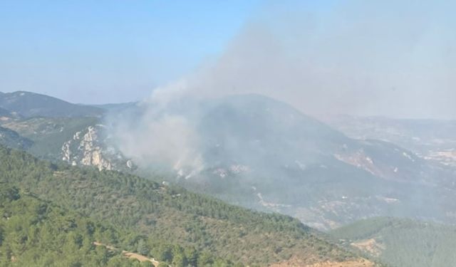 Bergama'daki orman yangını iki gündür sürüyor