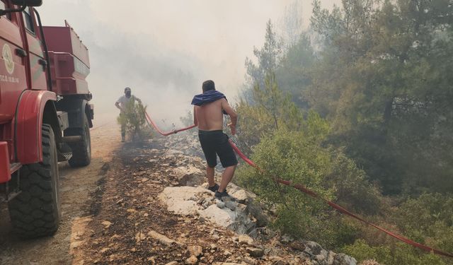 Bodrum'da orman yangını: Müdahale devam ediyor