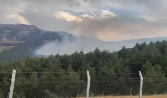 Kahramanmaraş'ta orman yangını