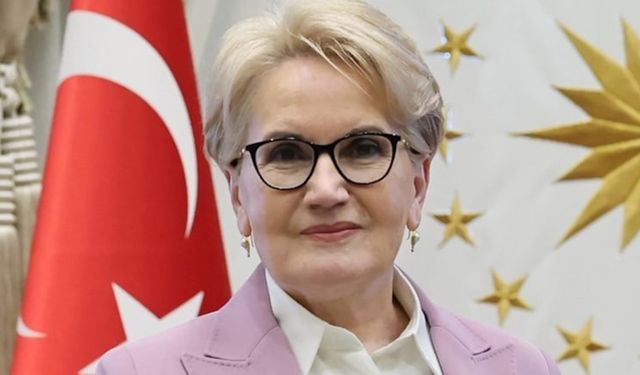 Meral Akşener 'İYİ Parti beni oy vermeye ikna etmeli' iddiasını yalanladı