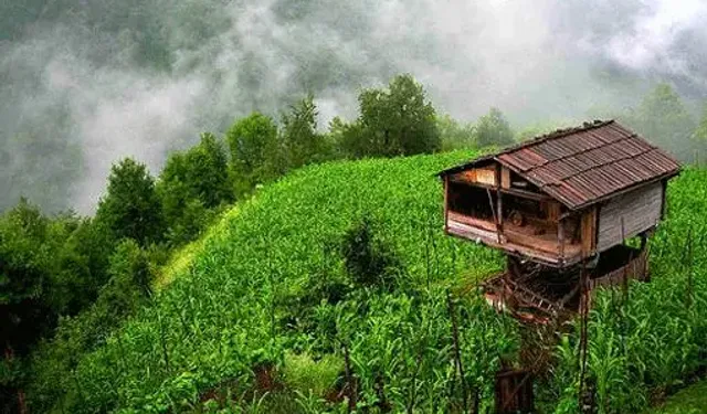 Artvin'in Borçka ilçesine bağlı Camili (Macahel) Havzası ziyaretçilere eşsiz görüntüler sunuyor