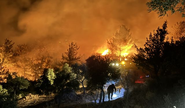 Orman yangınlarıyla ilgili 7 kişi gözaltına alındı