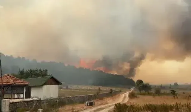 Ankara'da çıkan yangın Bolu'ya sıçradı