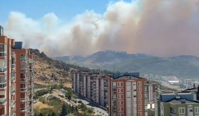 İzmir Karşıyaka'da çıkan orman yangını büyüdü: Şehre kül yağıyor