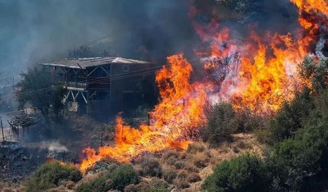 Karşıyaka'daki orman yangını; barınaklardaki hayvanlar tahliye edildi