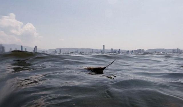 İzmirliler dikkat! Uzmanlar "Karşıyaka'da da görülebilir" diyerek uyardı