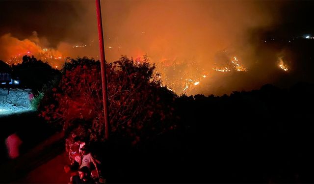 Muğla Milas'ta yangın! 'Maalesef bölgede çok büyük kayıp var'