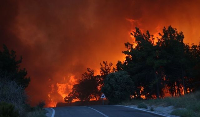 Çanakkale'nin Eceabat ilçesindeki orman yangınına müdahale ediliyor