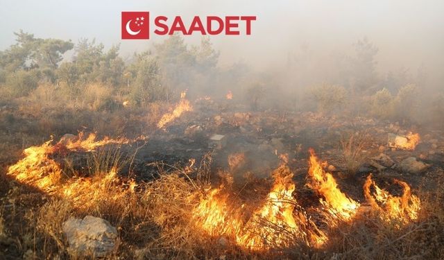 Saadet Partisi'nden Tarım, Orman ve Köyişleri Komisyonu’na acil toplantı çağrısı