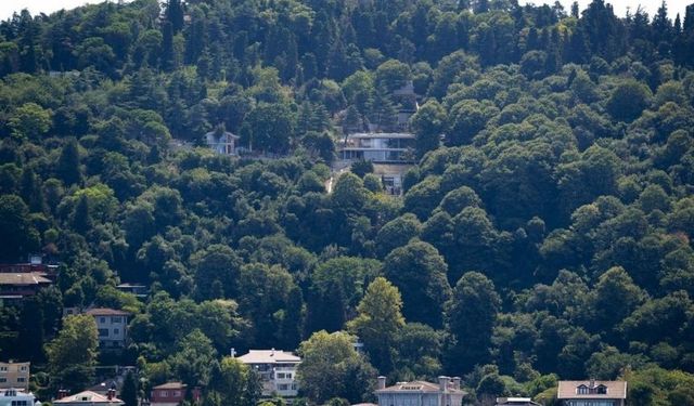 Çevre, Şehircilik ve İklim Değişikliği İl Müdürlüğü'nün, Vaniköy'deki izinsiz inşaata ilişkin tutanağı ortaya çıktı