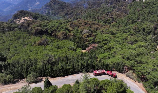 Günlerce yandı... İzmir Yamanlar'daki yanan bölge havadan görüntülendi