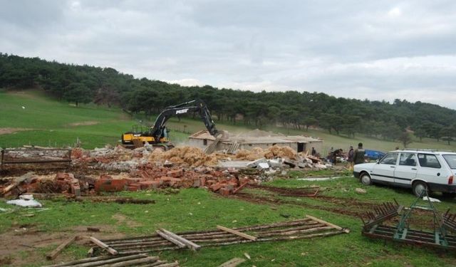 Ormanlarda kaçak yapılar doğrudan yıkılacak: Resmi Gazete'de yayımlandı