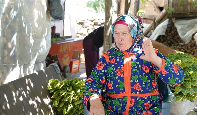 Kuzey Makedonya Yörükleri: Türkiye olmasa, bizim işimiz güç olur burada