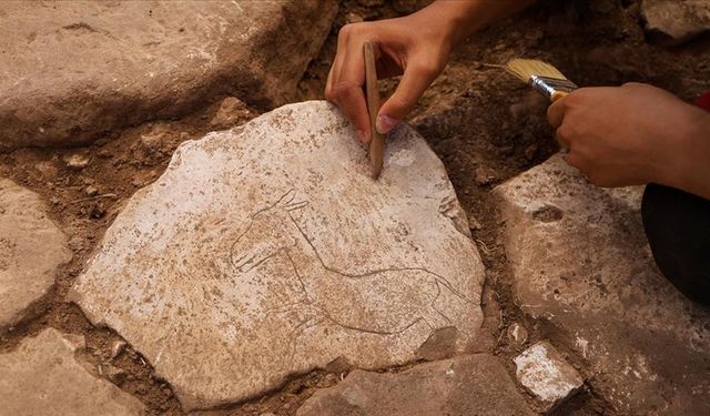 Şanlıurfa'da yapılan kazılarda, neolitik döneme ait taş üzerine kazılmış koşan yaban eşeği figürü bulundu